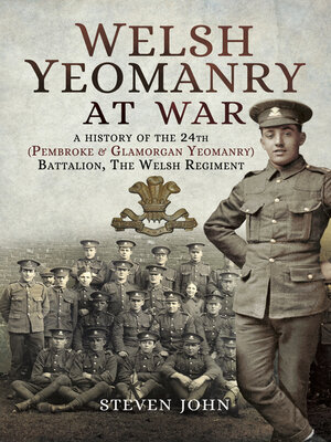cover image of Welsh Yeomanry at War